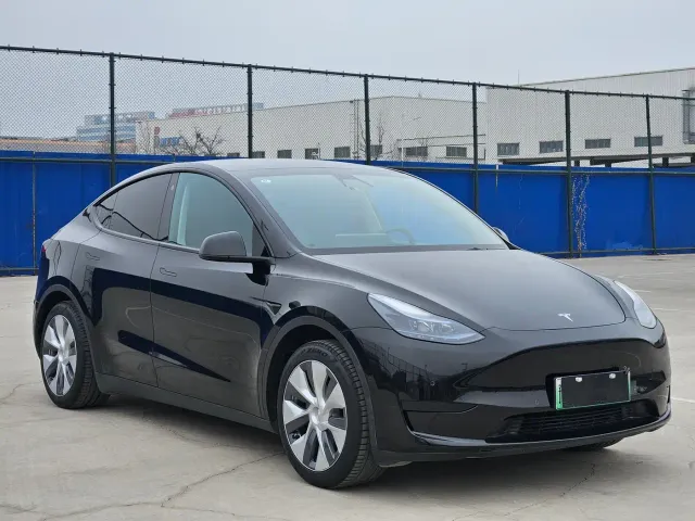 Tesla Model Y — Фото автомобиля 3