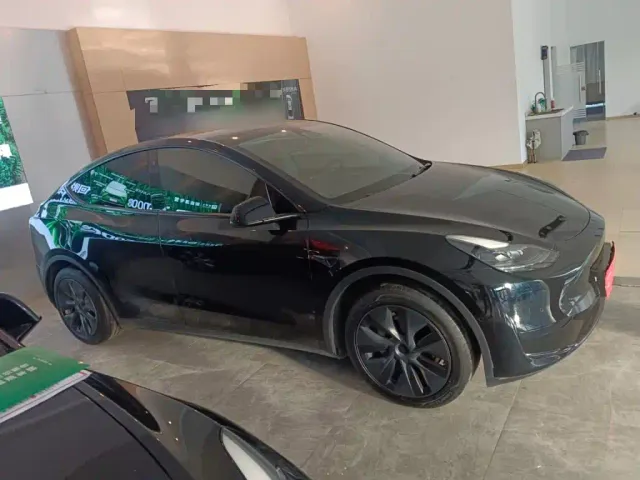 Tesla Model Y — Фото автомобиля 4