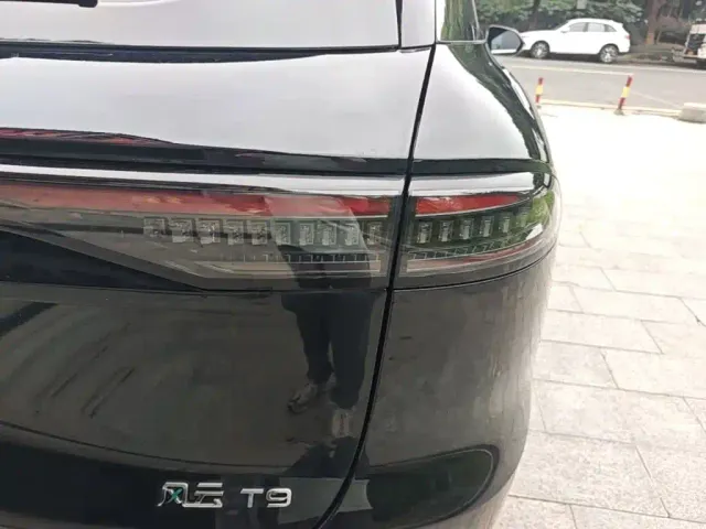 Chery Fulwin T9 — Фото автомобиля 7