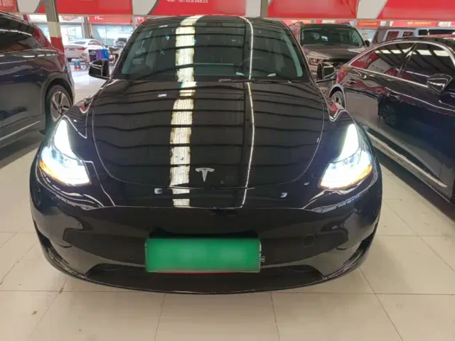 Tesla Model Y — Фото автомобиля 2