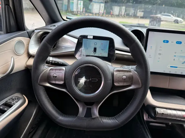 BYD Dolphin — Фото автомобиля 10