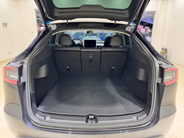 Tesla Model Y — Фото автомобиля 12