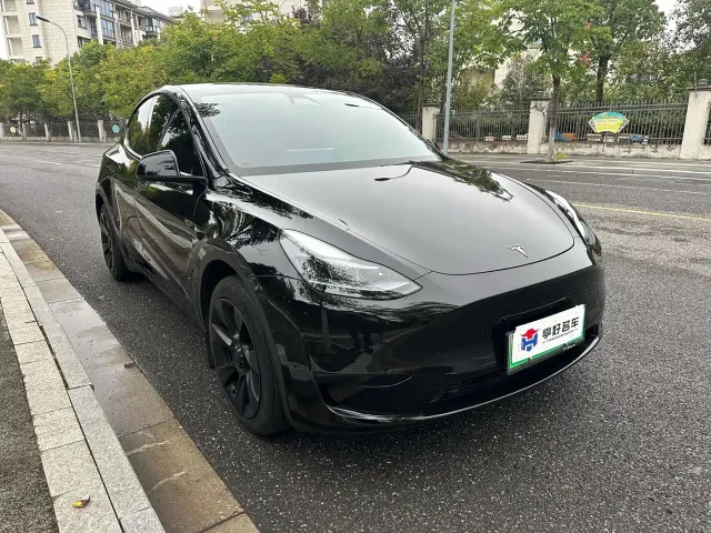 Tesla Model Y — Фото автомобиля 10