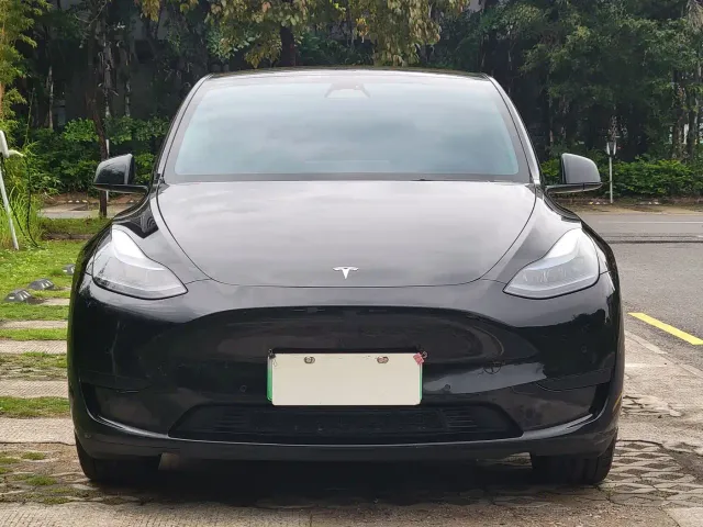 Tesla Model Y — Фото автомобиля 2
