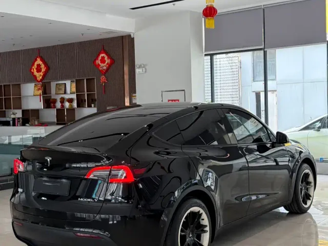 Tesla Model Y — Фото автомобиля 7