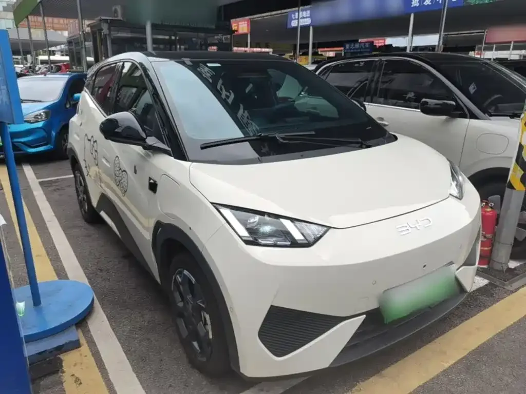 BYD Seagull 2025 Smart Drive Edition 305km Freedom Version — Фото автомобиля 3