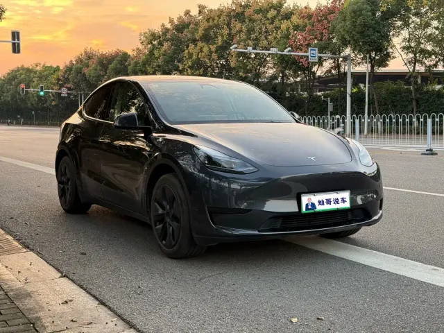 Tesla Model Y — Фото автомобиля 3