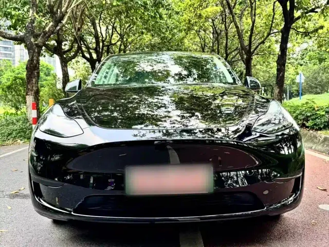Tesla Model Y — Фото автомобиля 10