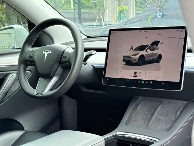 Tesla Model Y — Фото автомобиля 10