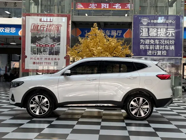 Haval H6 — Фото автомобиля 18