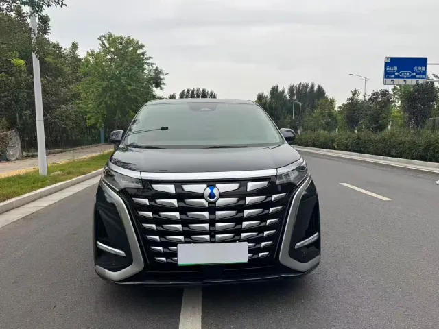 Denza D9 — Фото автомобиля 2