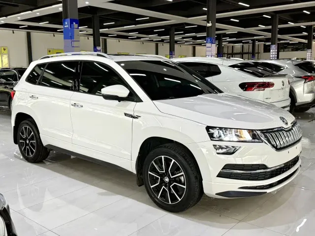 Skoda Karoq — Фото автомобиля 3