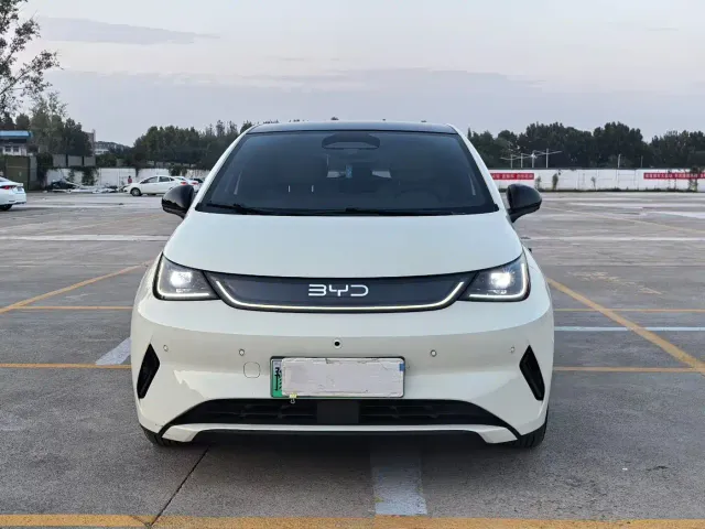 BYD Dolphin — Фото автомобиля 2