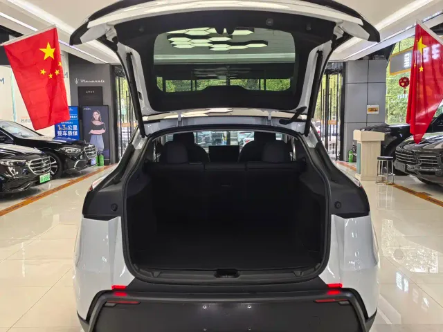 Tesla Model Y — Фото автомобиля 11