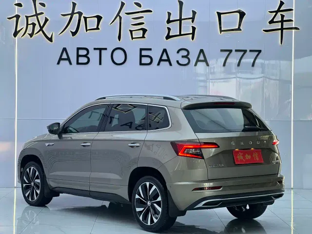 Skoda Karoq — Фото автомобиля 6