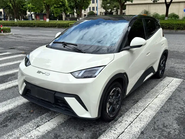 Фотография автомобиля — BYD Seagull