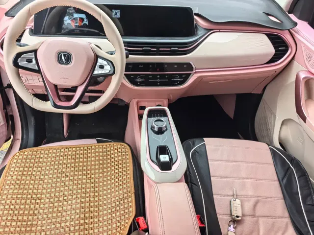 Changan Benben E-Star — Фото автомобиля 16