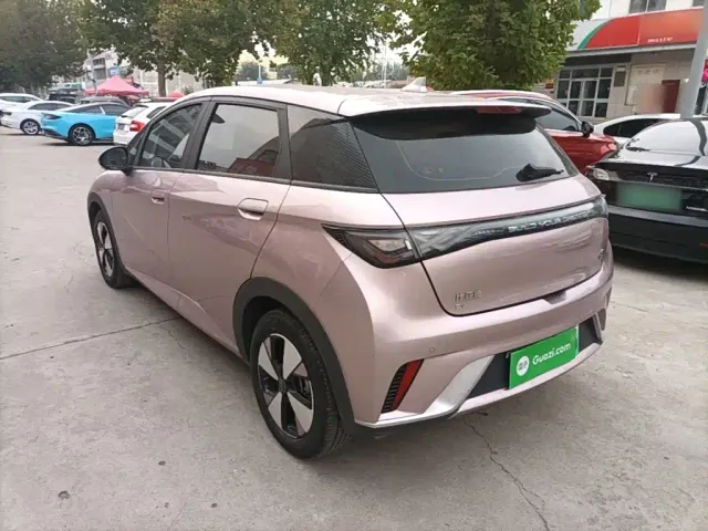 BYD Dolphin — Фото автомобиля 4