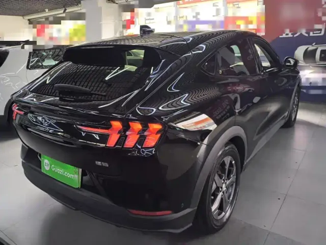 Ford Mustang Mach-E — Фото автомобиля 6