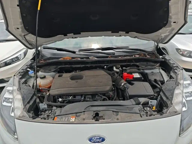 Ford Escape — Фото автомобиля 19