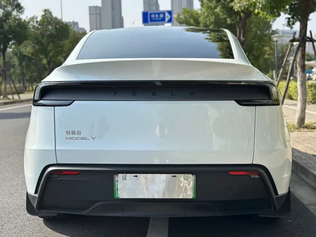 Tesla Model Y — Фото автомобиля 5