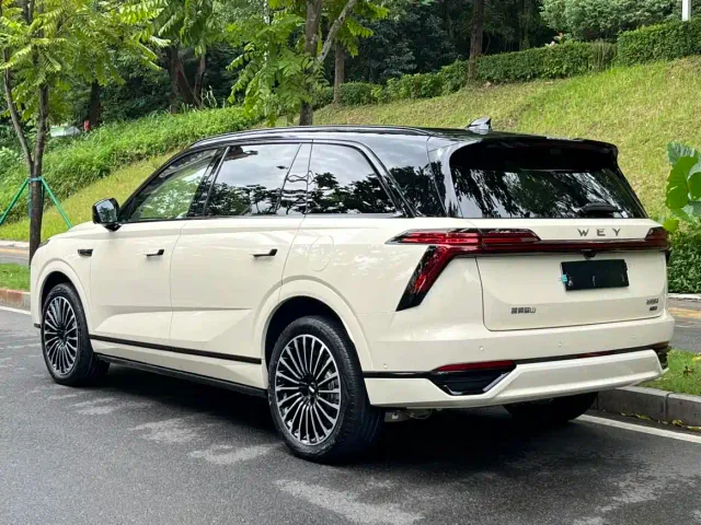 Wey Lanshan — Фото автомобиля 13