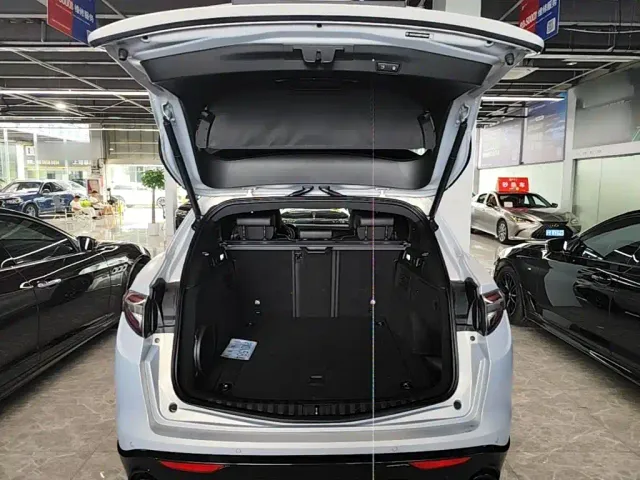 Alfa Romeo Stelvio — Фото автомобиля 18