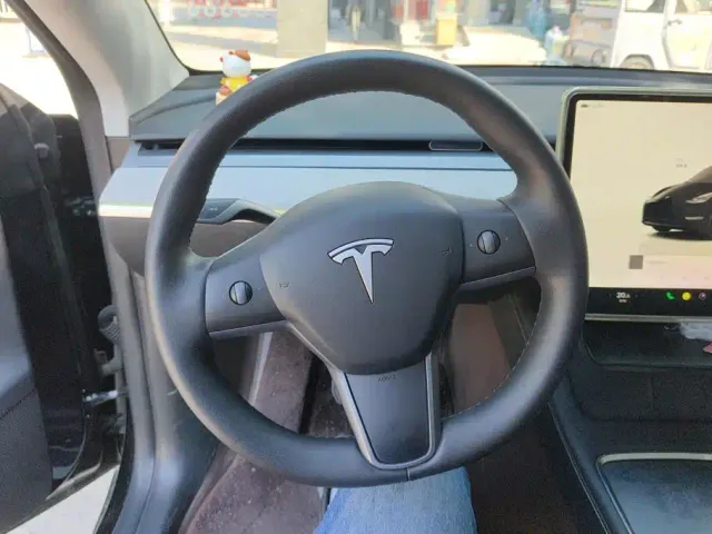 Tesla Model Y — Фото автомобиля 15