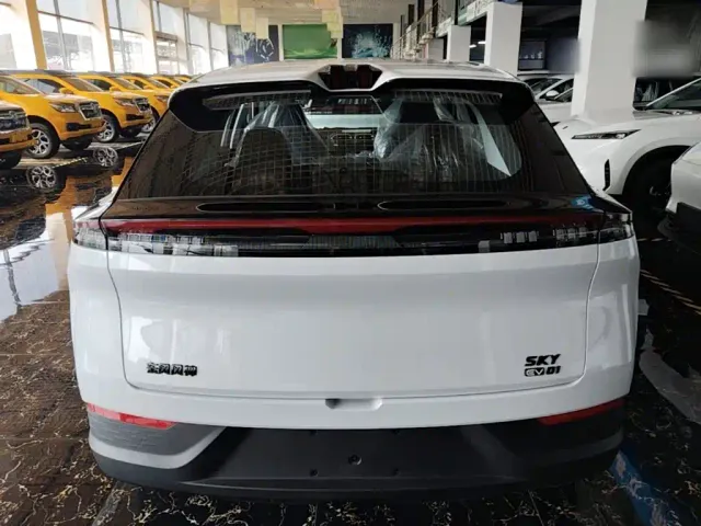 Dongfeng SKY EV01 — Фото автомобиля 5