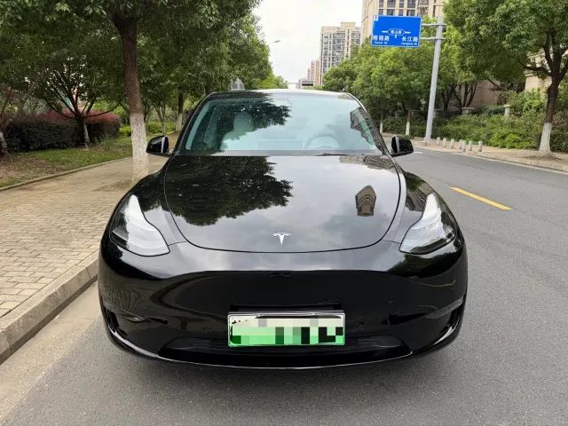 Tesla Model Y — Фото автомобиля 2