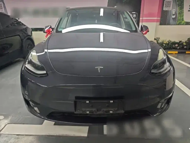 Tesla Model Y — Фото автомобиля 2