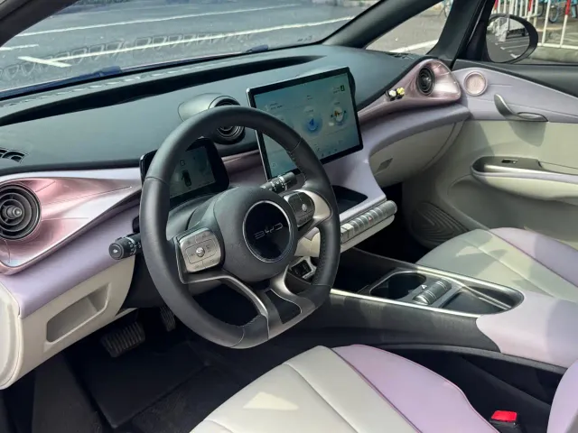 BYD Dolphin — Фото автомобиля 4