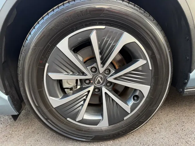 Lexus RZ — Фото автомобиля 14