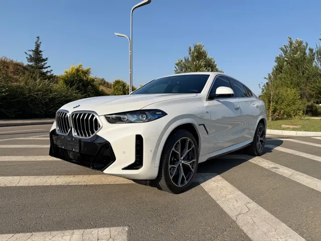 Фотография автомобиля — BMW X6