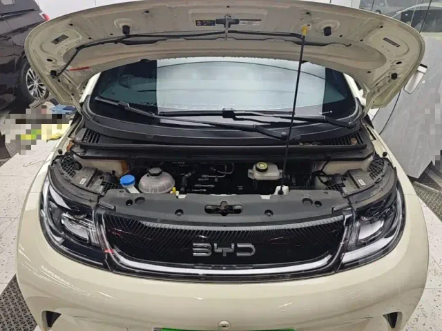 BYD Dolphin — Фото автомобиля 19