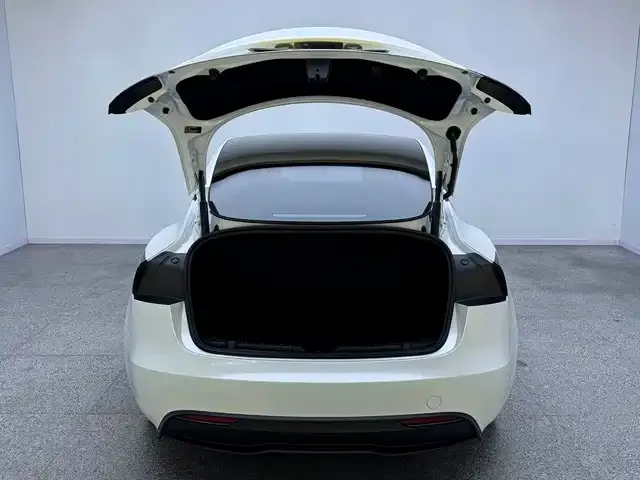 Tesla Model 3 — Фото автомобиля 15