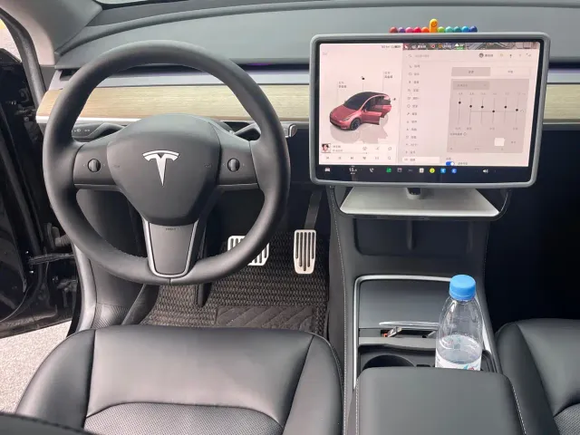 Tesla Model Y — Фото автомобиля 10