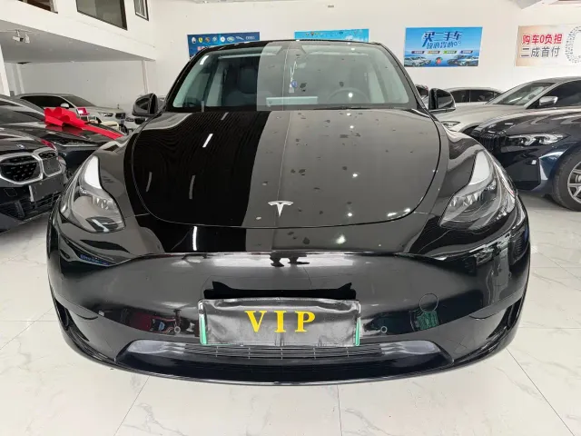Tesla Model Y — Фото автомобиля 2