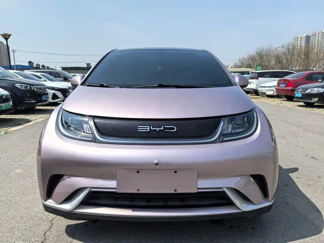 BYD Dolphin — Фото автомобиля 2