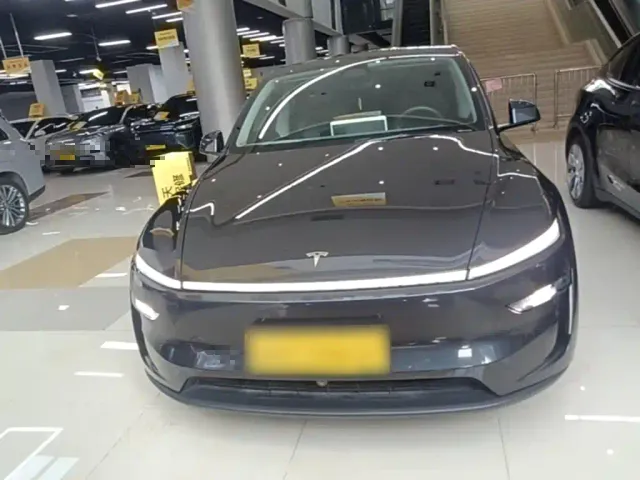 Tesla Model Y — Фото автомобиля 2