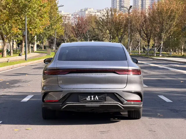 BYD Han — Фото автомобиля 12