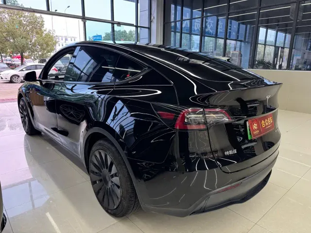 Tesla Model Y — Фото автомобиля 7