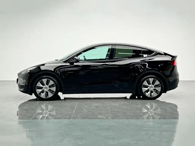 Tesla Model Y — Фото автомобиля 3