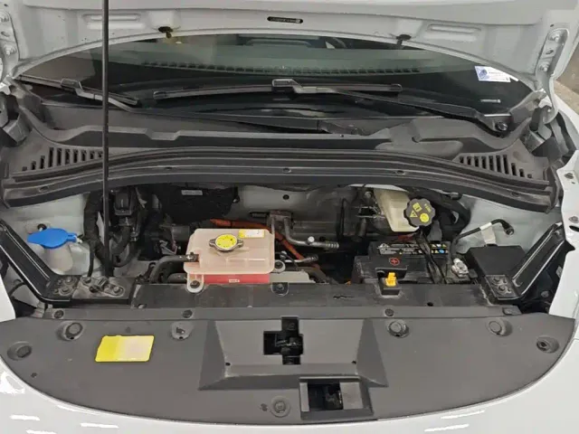 JAC Yiwei Yiwei 3 2024 Beloved Edition 330km Lite — Фото автомобиля 19