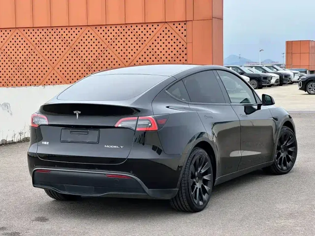 Tesla Model Y — Фото автомобиля 3