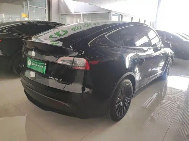 Tesla Model Y — Фото автомобиля 6