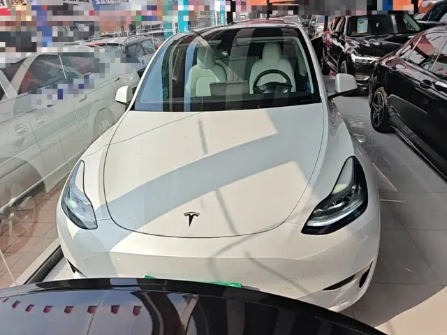 Tesla Model Y — Фото автомобиля 2