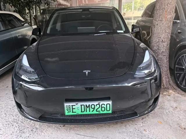 Tesla Model Y — Фото автомобиля 2