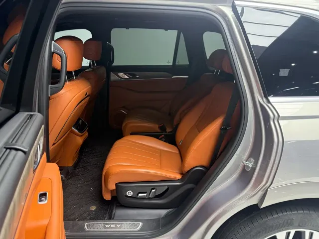 Wey Lanshan — Фото автомобиля 13