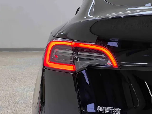 Tesla Model Y — Фото автомобиля 11